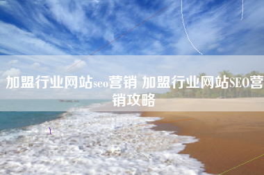 加盟行业网站seo营销 加盟行业网站SEO营销攻略