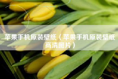 苹果手机原装壁纸（苹果手机原装壁纸高清图片）
