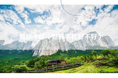 魁族手机（魁族手机好不好）