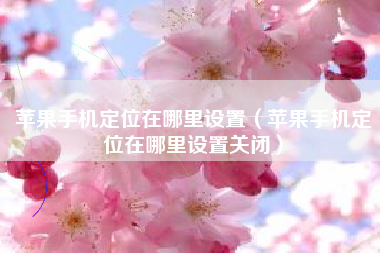 苹果手机定位在哪里设置（苹果手机定位在哪里设置关闭）