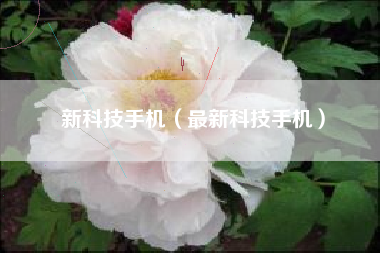 新科技手机（最新科技手机）