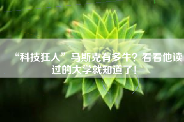 “科技狂人”马斯克有多牛？看看他读过的大学就知道了！