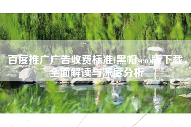 百度推广广告收费标准(黑帽seo)版下载，全面解读与深度分析