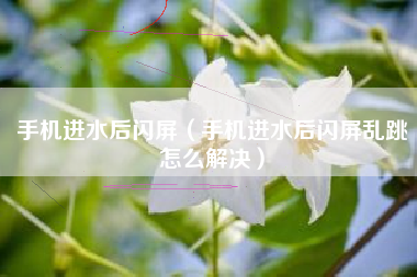 手机进水后闪屏（手机进水后闪屏乱跳怎么解决）