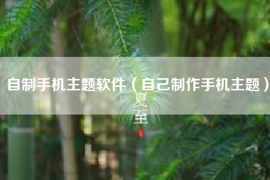 自制手机主题软件（自己制作手机主题）