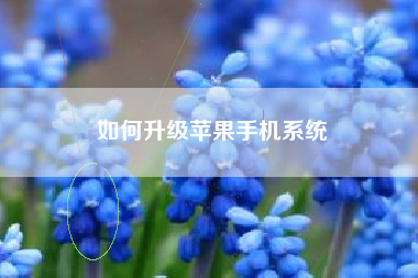 如何升级苹果手机系统
