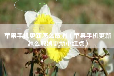 苹果手机更新怎么取消（苹果手机更新怎么取消更新小红点）
