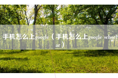 手机怎么上google（手机怎么上google schorlar）