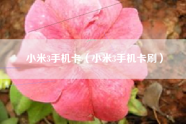 小米3手机卡（小米3手机卡刷）