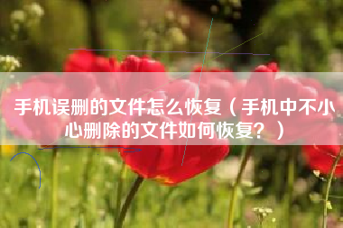 手机误删的文件怎么恢复（手机中不小心删除的文件如何恢复？）