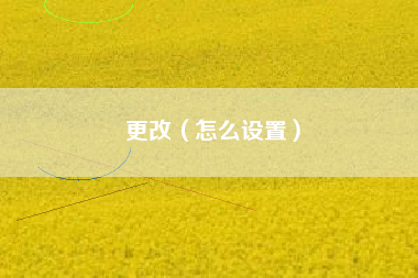 更改（怎么设置）