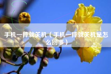 手机一摔就关机（手机一摔就关机是怎么回事）