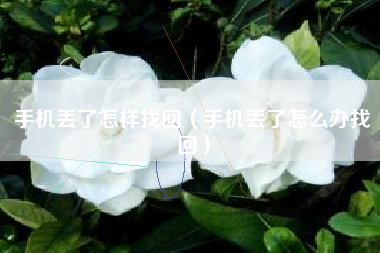 手机丢了怎样找回（手机丢了怎么办找回）