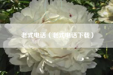 老式电话（老式电话下载）