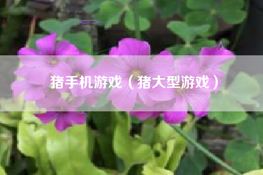 猪手机游戏（猪大型游戏）