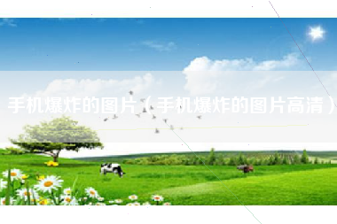 手机爆炸的图片（手机爆炸的图片高清）