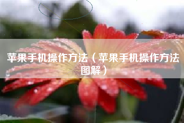 苹果手机操作方法（苹果手机操作方法图解）