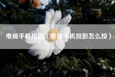 电视手机投影（电视手机投影怎么投）