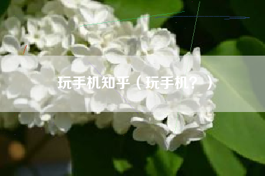 玩手机知乎（玩手机？）