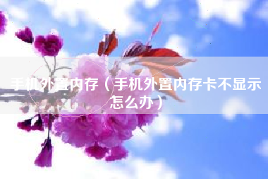 手机外置内存（手机外置内存卡不显示怎么办）