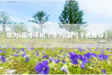 华为6英寸手机（华为6英寸手机推荐）