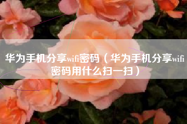 华为手机分享wifi密码（华为手机分享wifi密码用什么扫一扫）