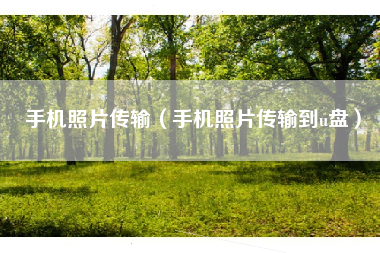 手机照片传输（手机照片传输到u盘）