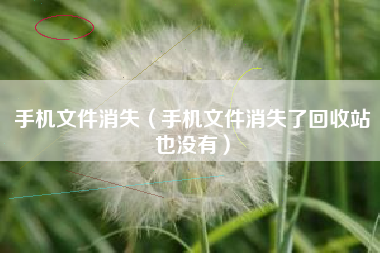 手机文件消失（手机文件消失了回收站也没有）
