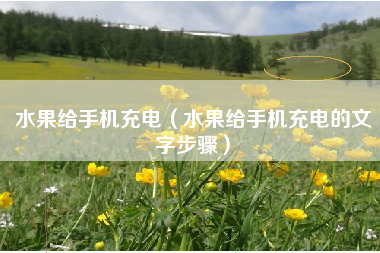 水果给手机充电（水果给手机充电的文字步骤）