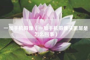 一加手机摄像（一加手机摄像头黑屏是怎么回事）