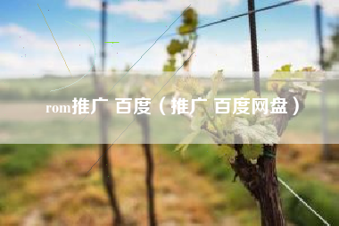 rom推广 百度（推广 百度网盘）
