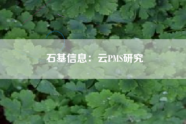 石基信息：云PMS研究
