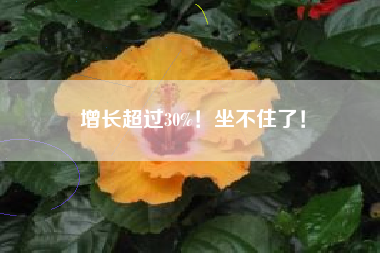 增长超过30%！坐不住了！