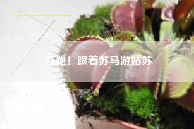 开跑！跟着苏马游姑苏